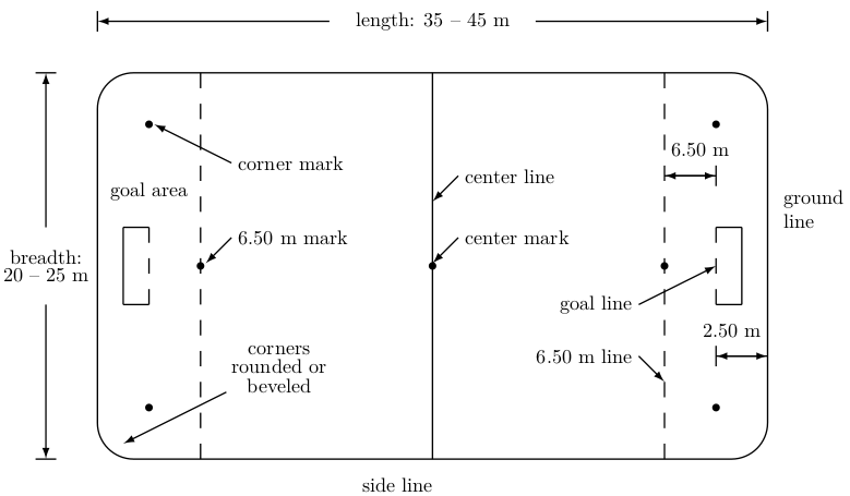 unicycle hockey court